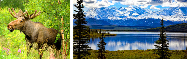Cruisetour to Alaska